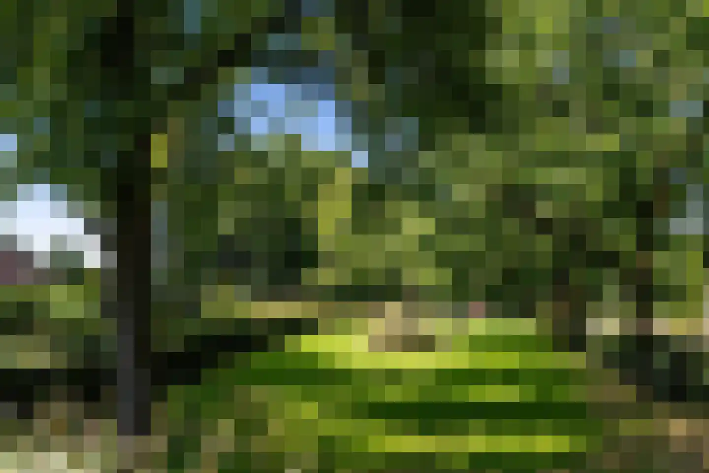 Oude Beilerweg 5 Westerbork thumbnail 65
