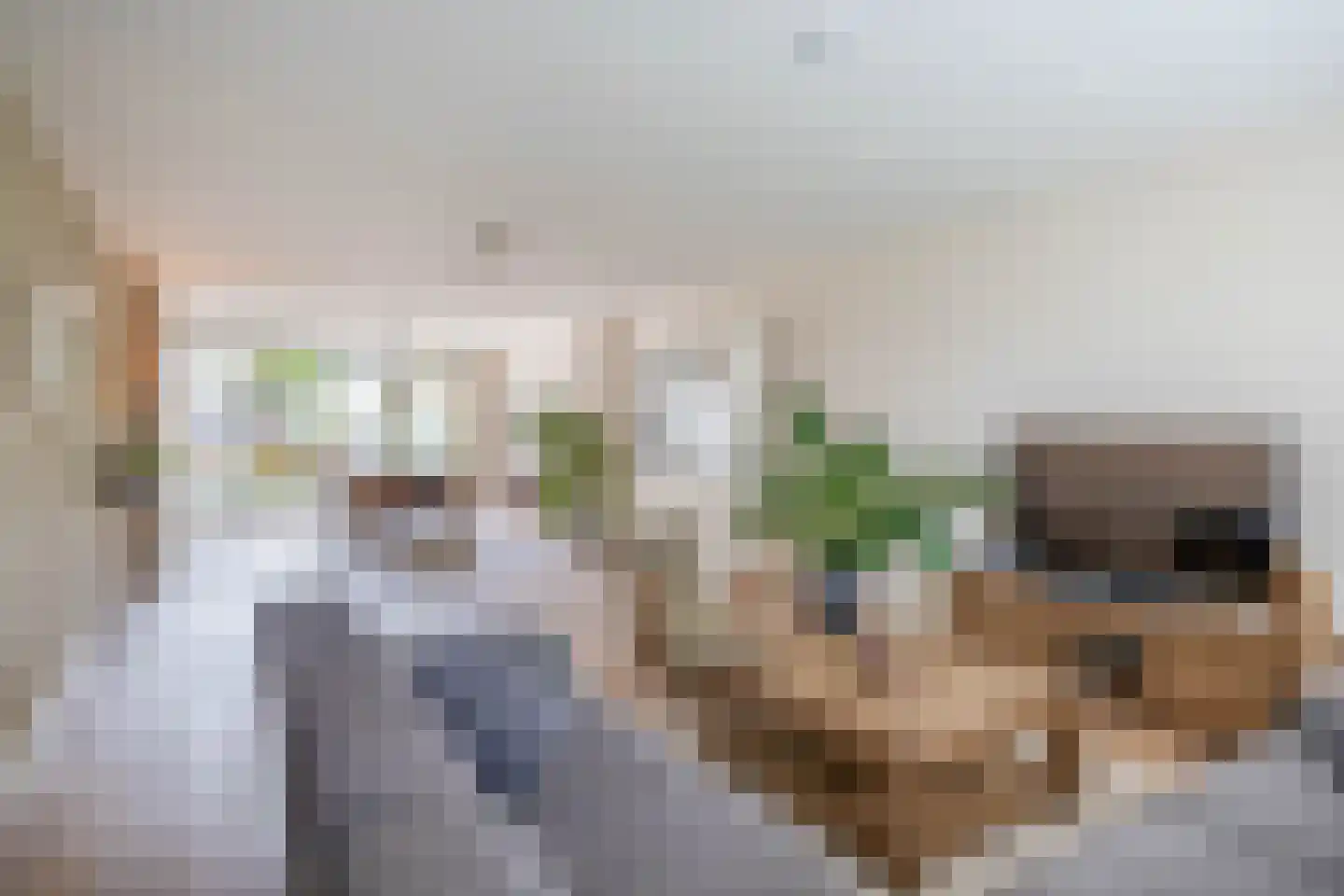 Oude Bemmerstraat 40 Beek en Donk thumbnail 11