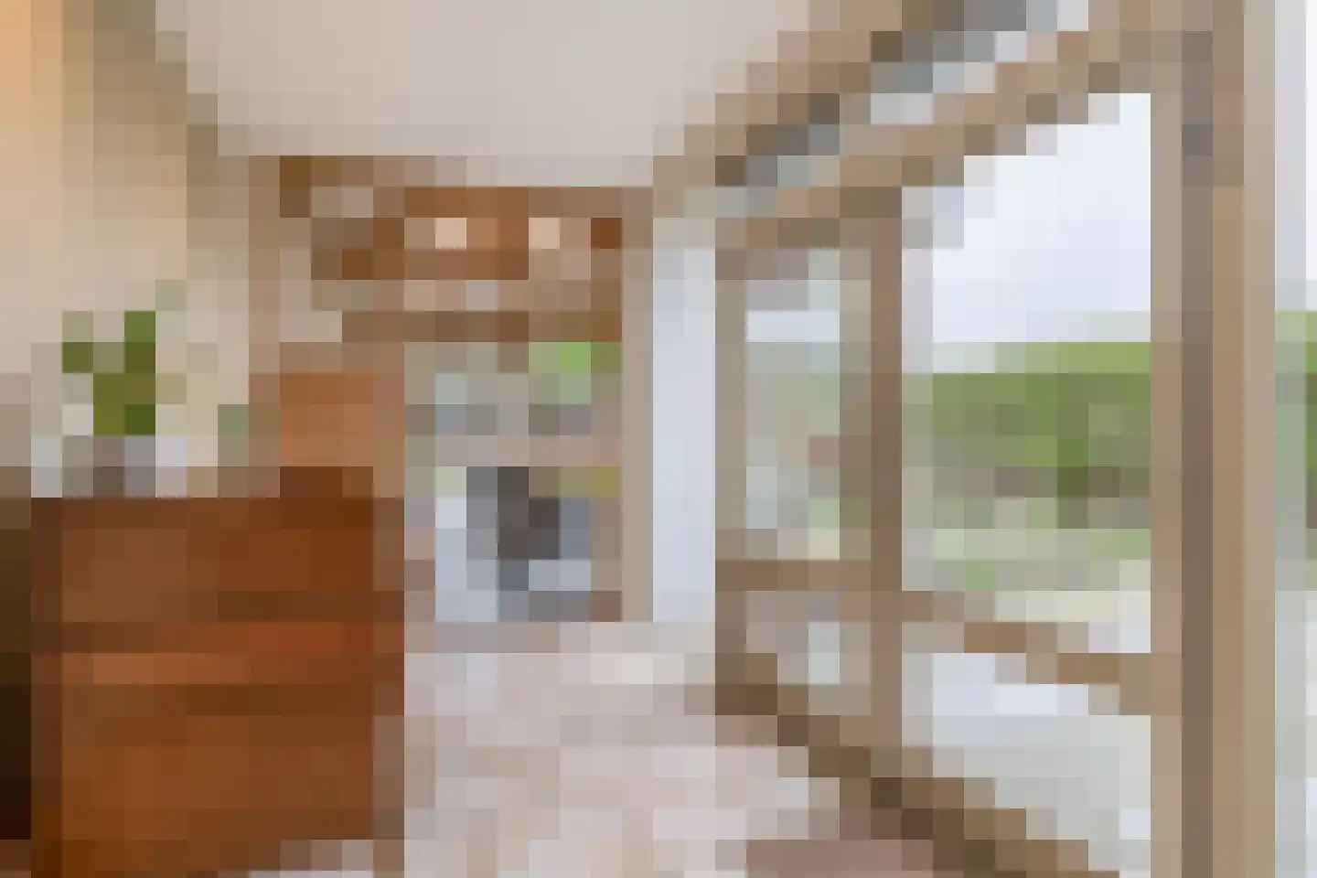 Oude Bemmerstraat 40 Beek en Donk thumbnail 25
