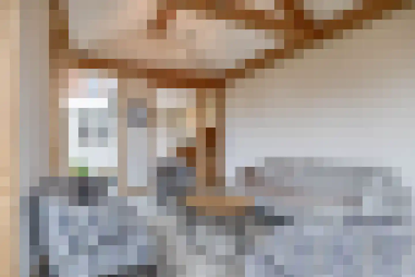 Oude Bemmerstraat 40 Beek en Donk thumbnail 27