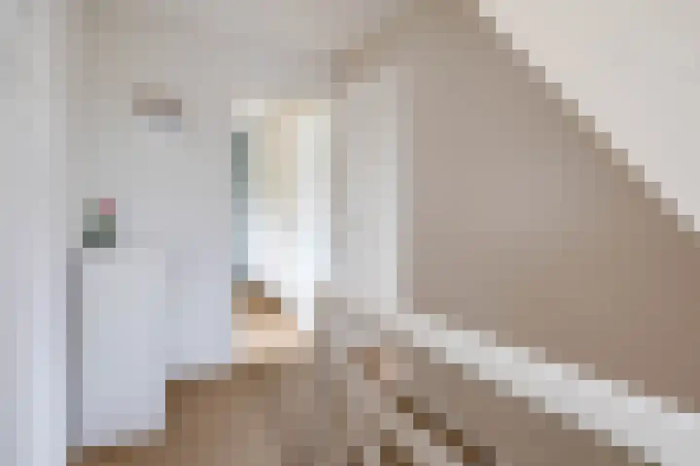 Oude Bemmerstraat 40 Beek en Donk thumbnail 29