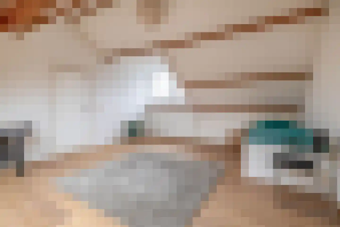 Oude Bemmerstraat 40 Beek en Donk thumbnail 39