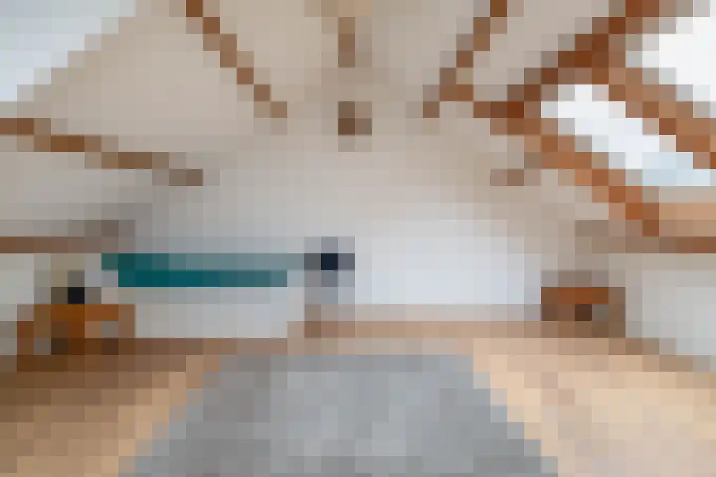 Oude Bemmerstraat 40 Beek en Donk thumbnail 40