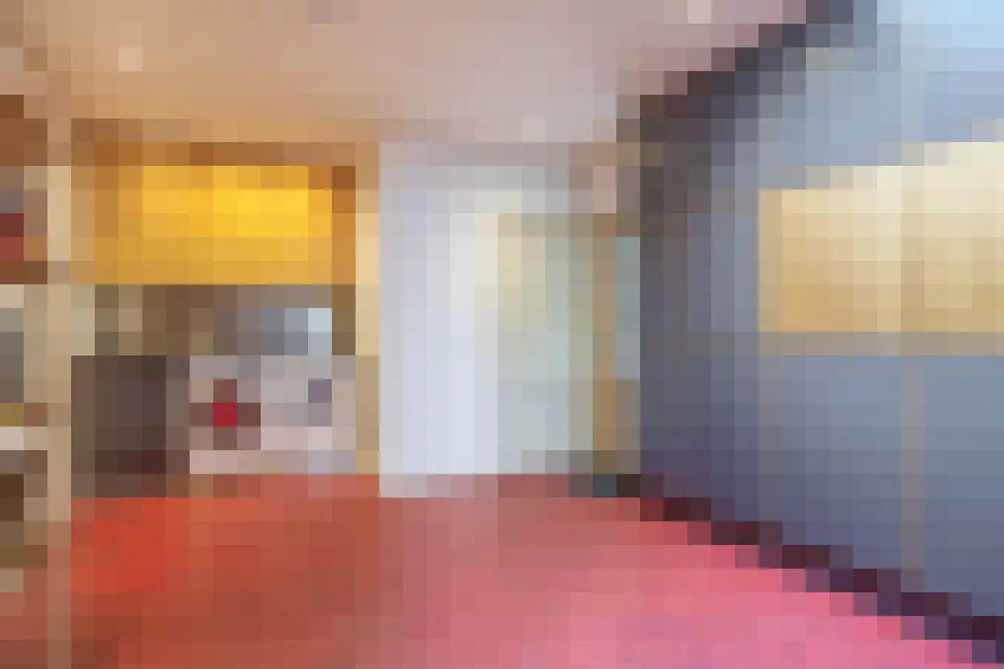 Oude Bemmerstraat 40 Beek en Donk thumbnail 44