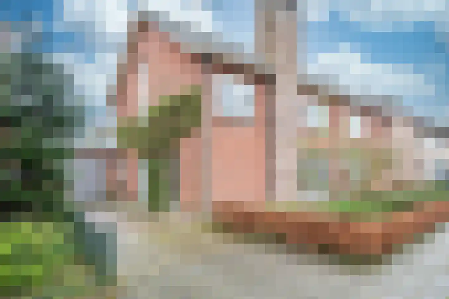 Oude Bemmerstraat 40 Beek en Donk thumbnail 5