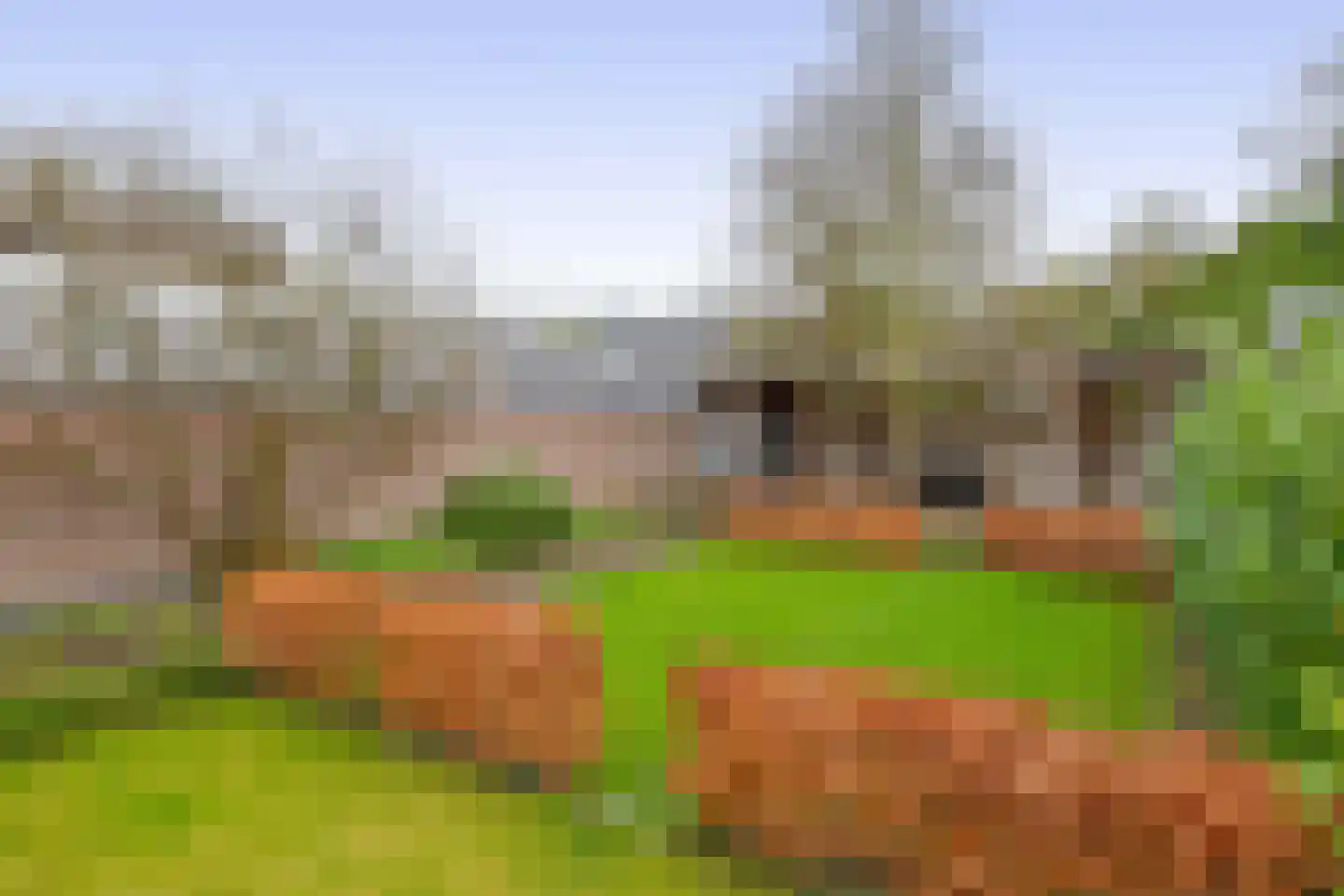 Oude Bemmerstraat 40 Beek en Donk thumbnail 50