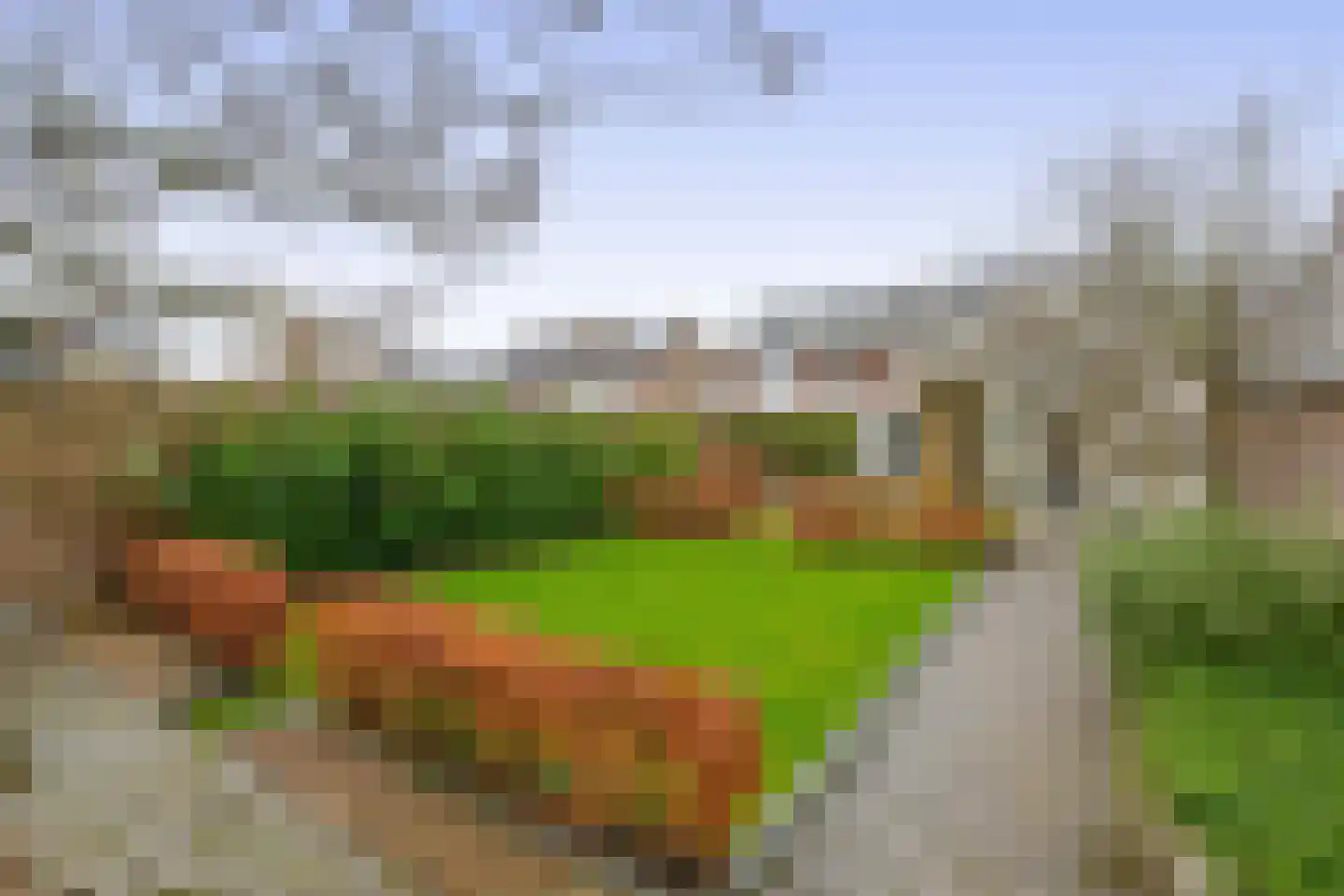 Oude Bemmerstraat 40 Beek en Donk thumbnail 52