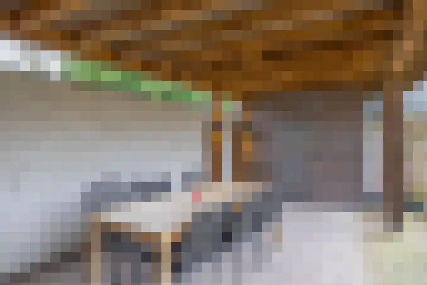 Oude Bemmerstraat 40 Beek en Donk thumbnail 53