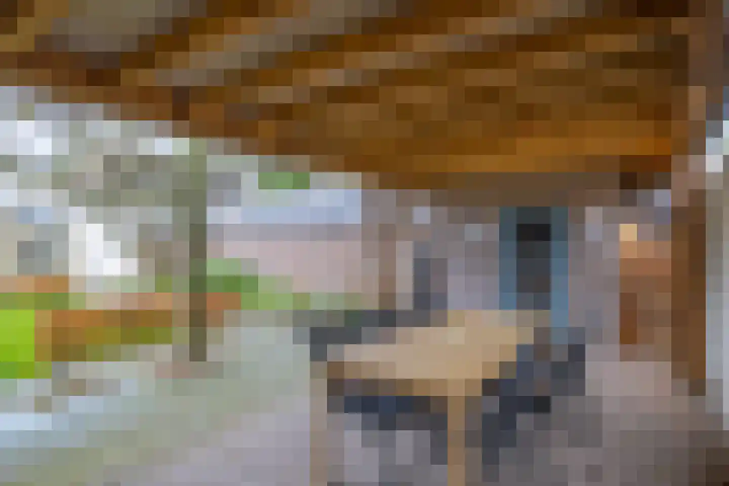 Oude Bemmerstraat 40 Beek en Donk thumbnail 54