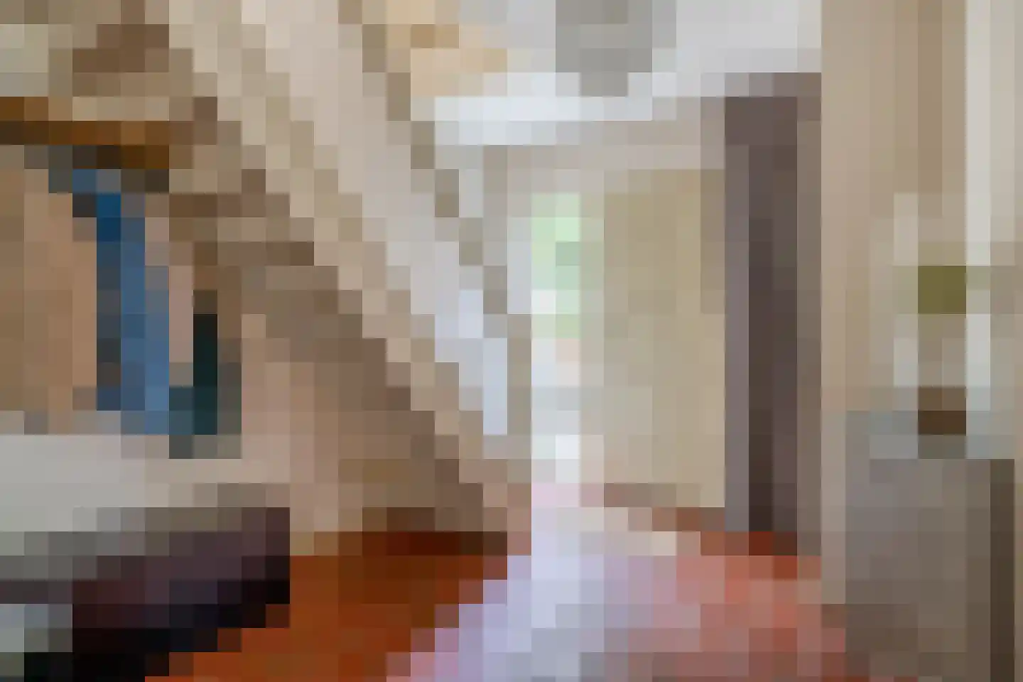 Oude Bemmerstraat 40 Beek en Donk thumbnail 7