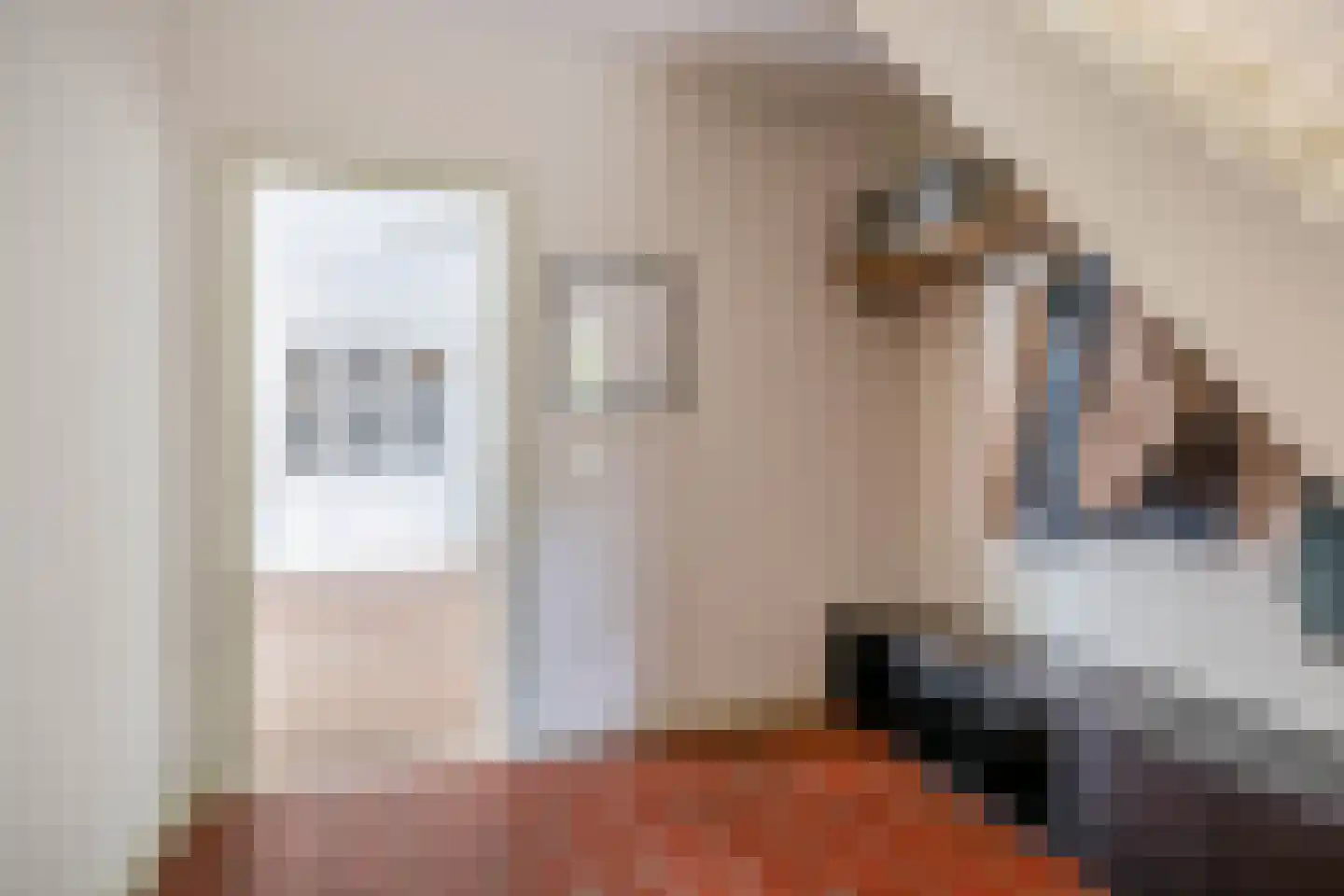 Oude Bemmerstraat 40 Beek en Donk thumbnail 8