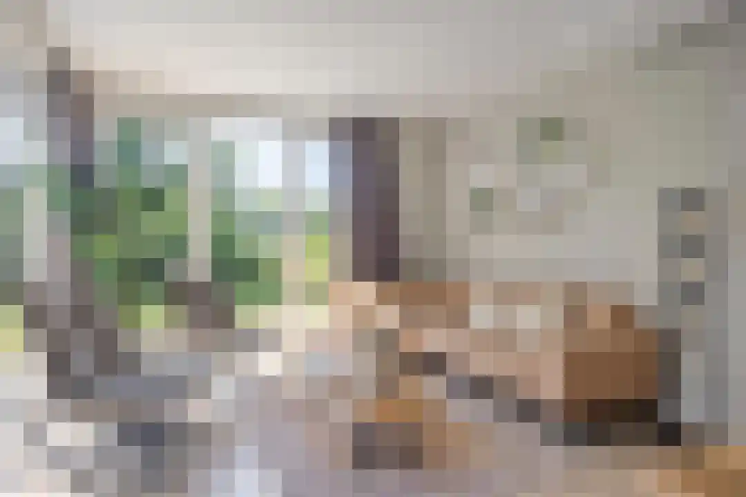 Oude Benderseweg 11 106 Ruinen thumbnail 10