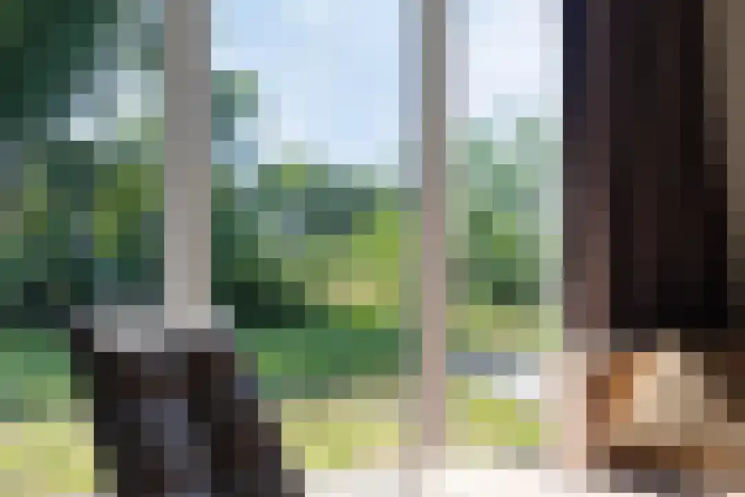 Oude Benderseweg 11 106 Ruinen thumbnail 11