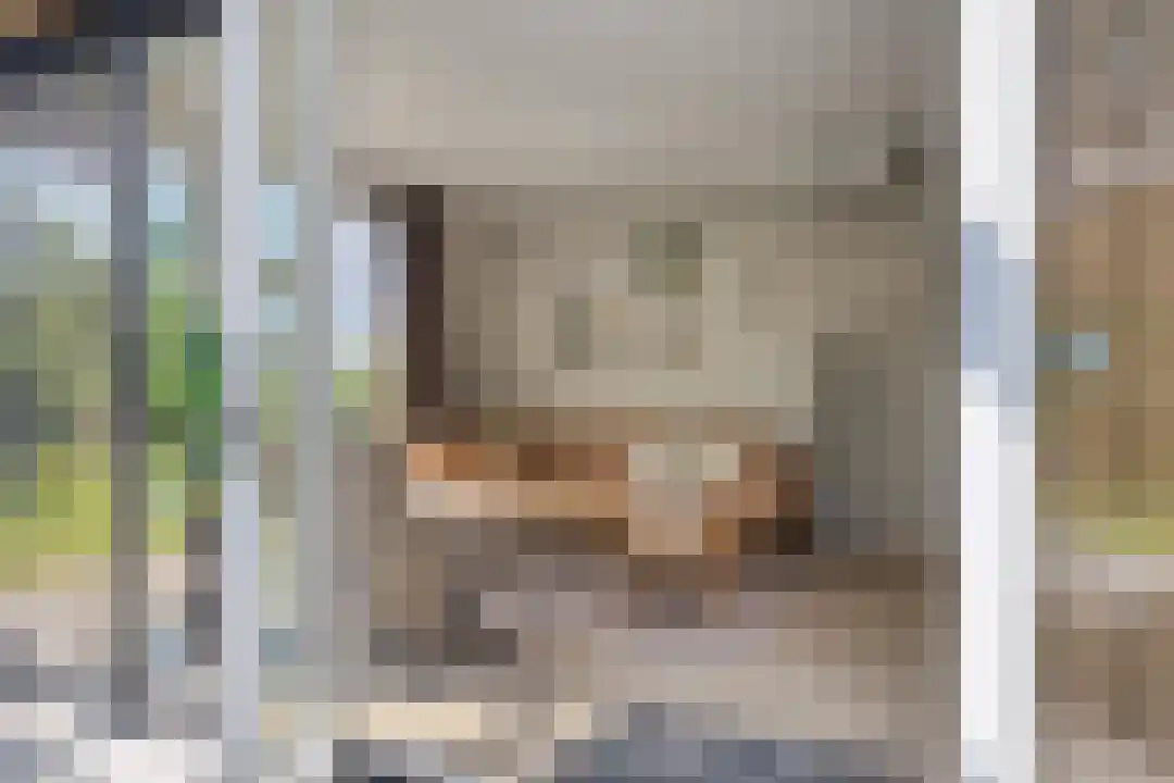 Oude Benderseweg 11 106 Ruinen thumbnail 13