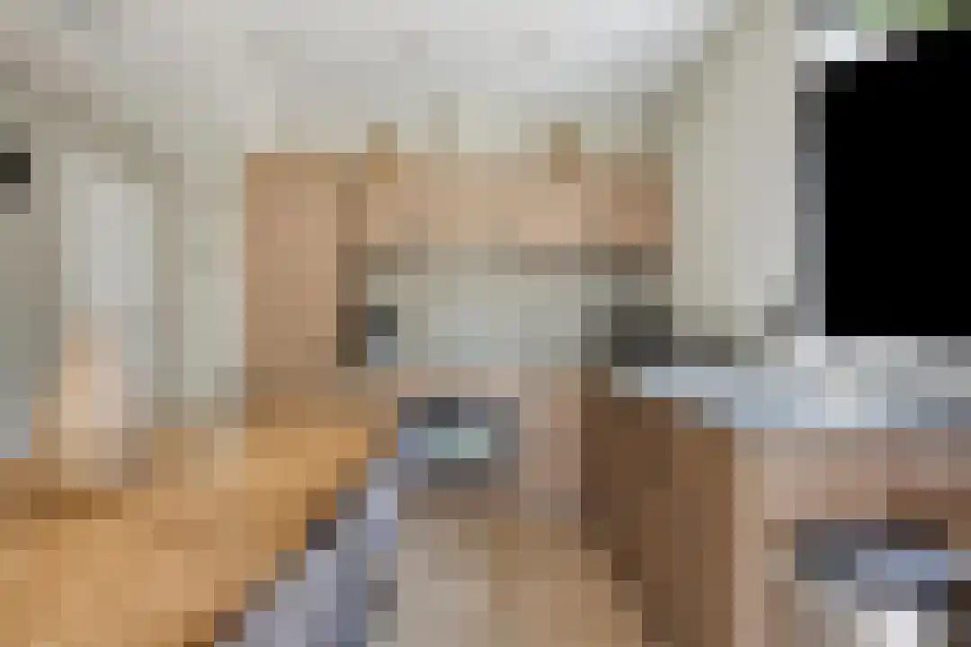 Oude Benderseweg 11 106 Ruinen thumbnail 16