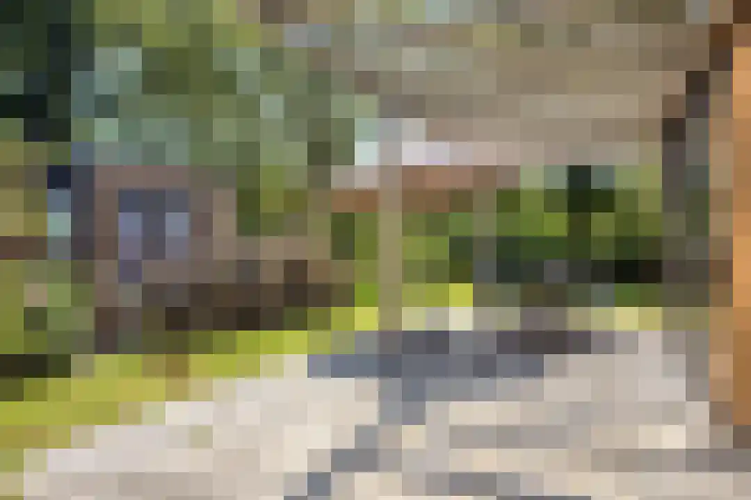 Oude Benderseweg 11 106 Ruinen thumbnail 28