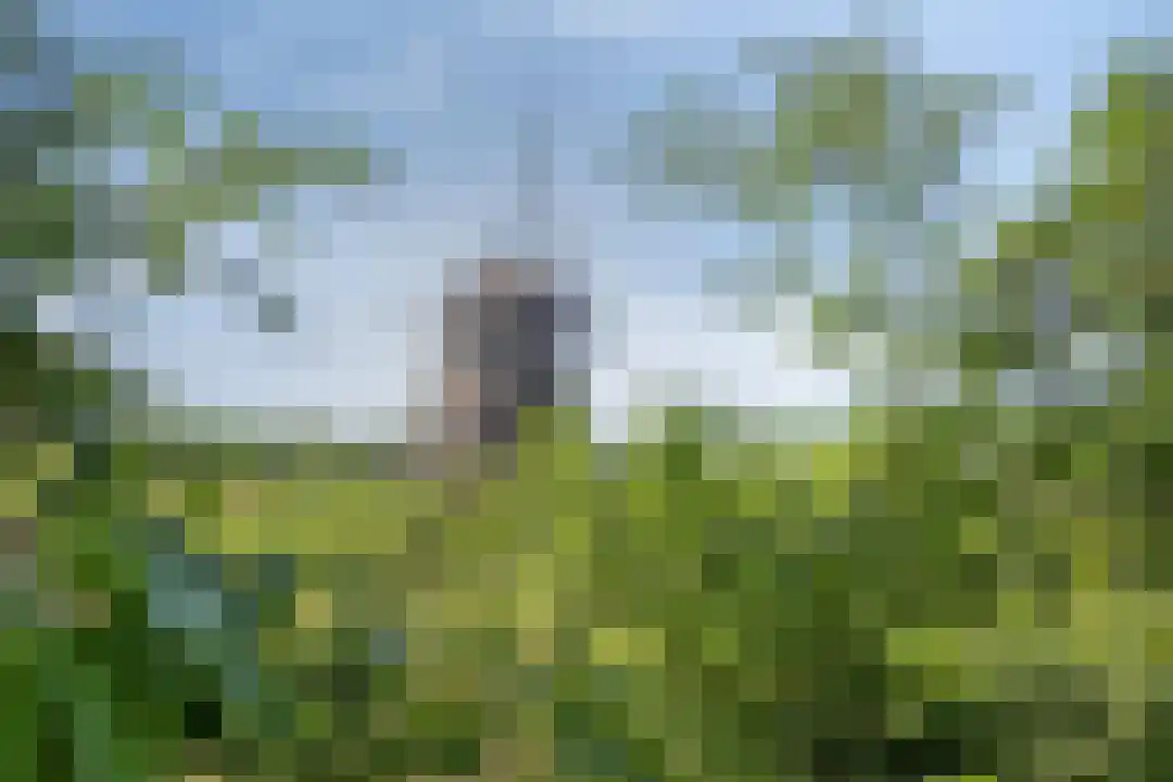 Oude Benderseweg 11 106 Ruinen thumbnail 32