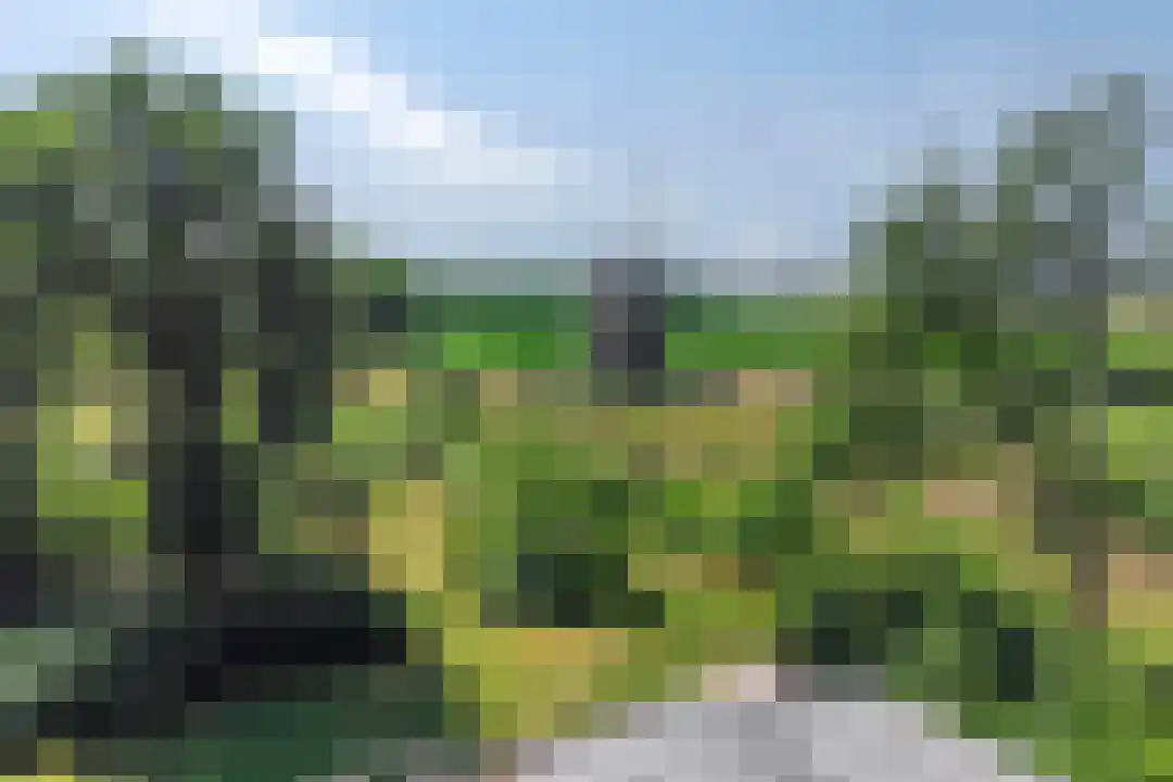 Oude Benderseweg 11 106 Ruinen thumbnail 33