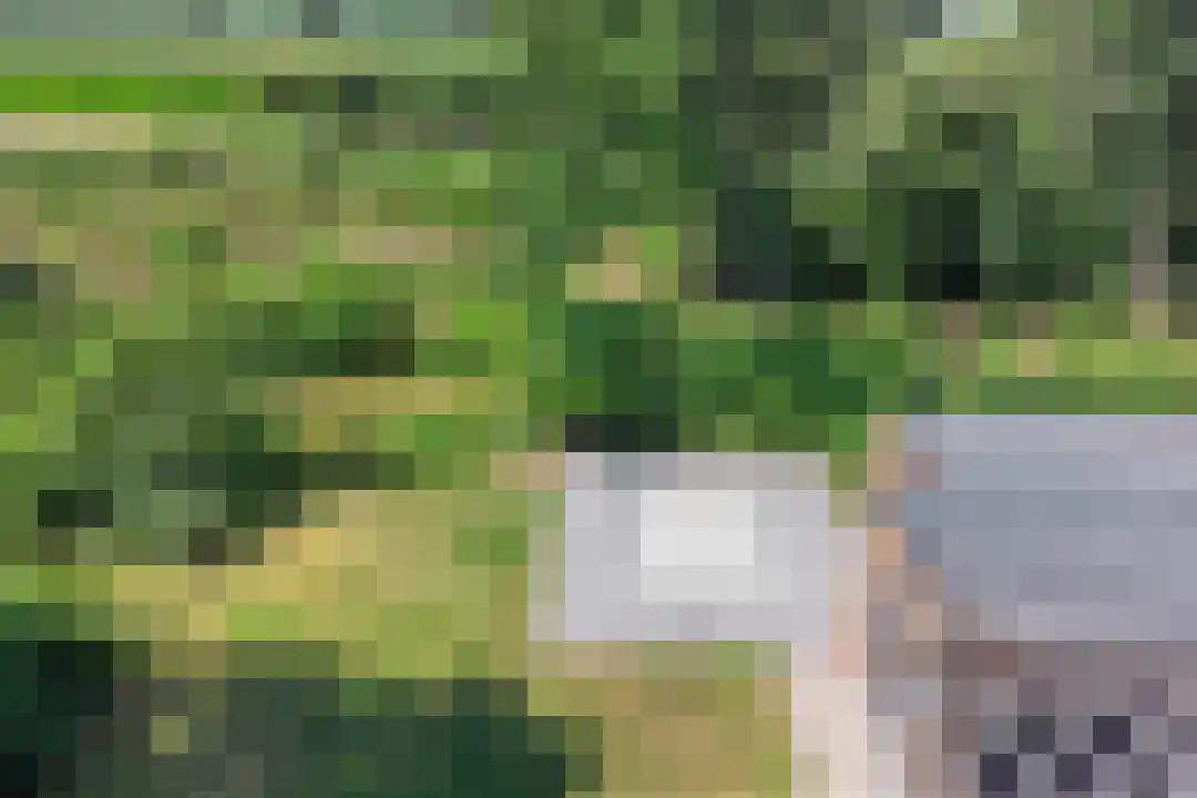 Oude Benderseweg 11 106 Ruinen thumbnail 34