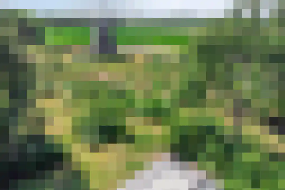 Oude Benderseweg 11 106 Ruinen thumbnail 35