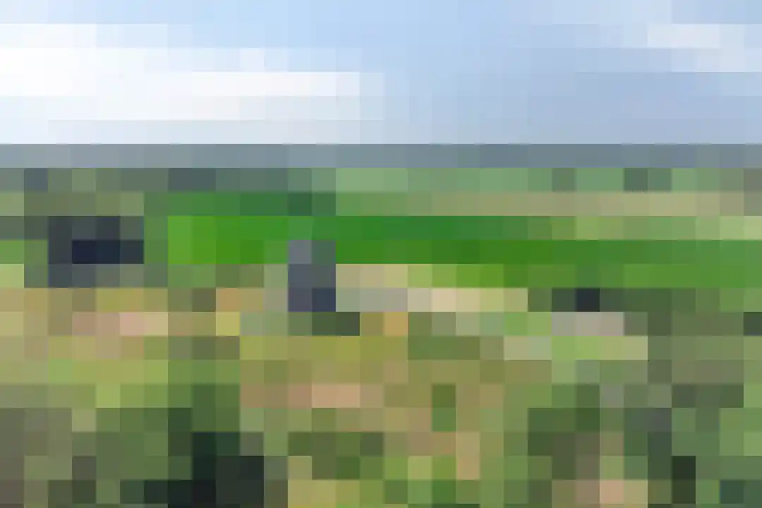 Oude Benderseweg 11 106 Ruinen thumbnail 36