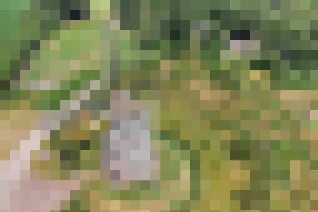 Oude Benderseweg 11 106 Ruinen thumbnail 37