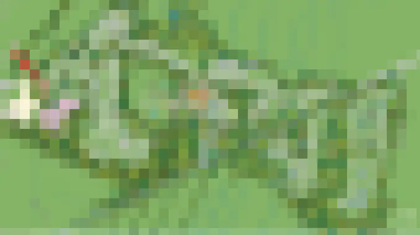 Oude Benderseweg 11 106 Ruinen thumbnail 49