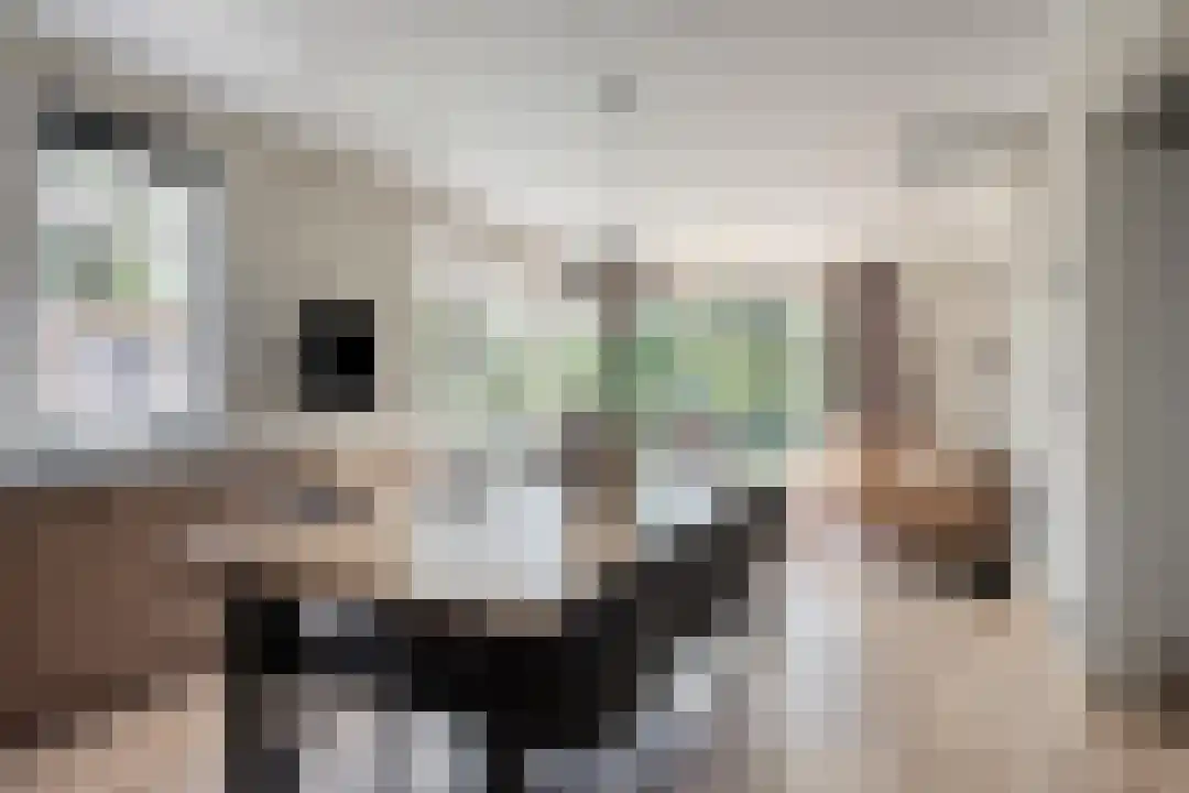 Oude Benderseweg 11 106 Ruinen thumbnail 8