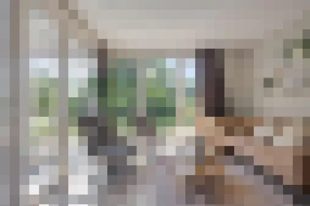 Oude Benderseweg 11 106 Ruinen thumbnail 9