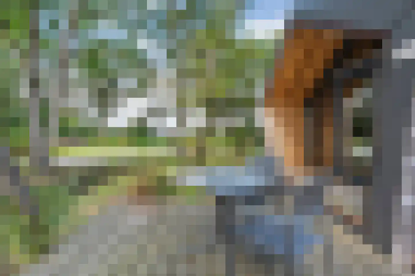 Oude Benderseweg 11 406 Ruinen thumbnail 11