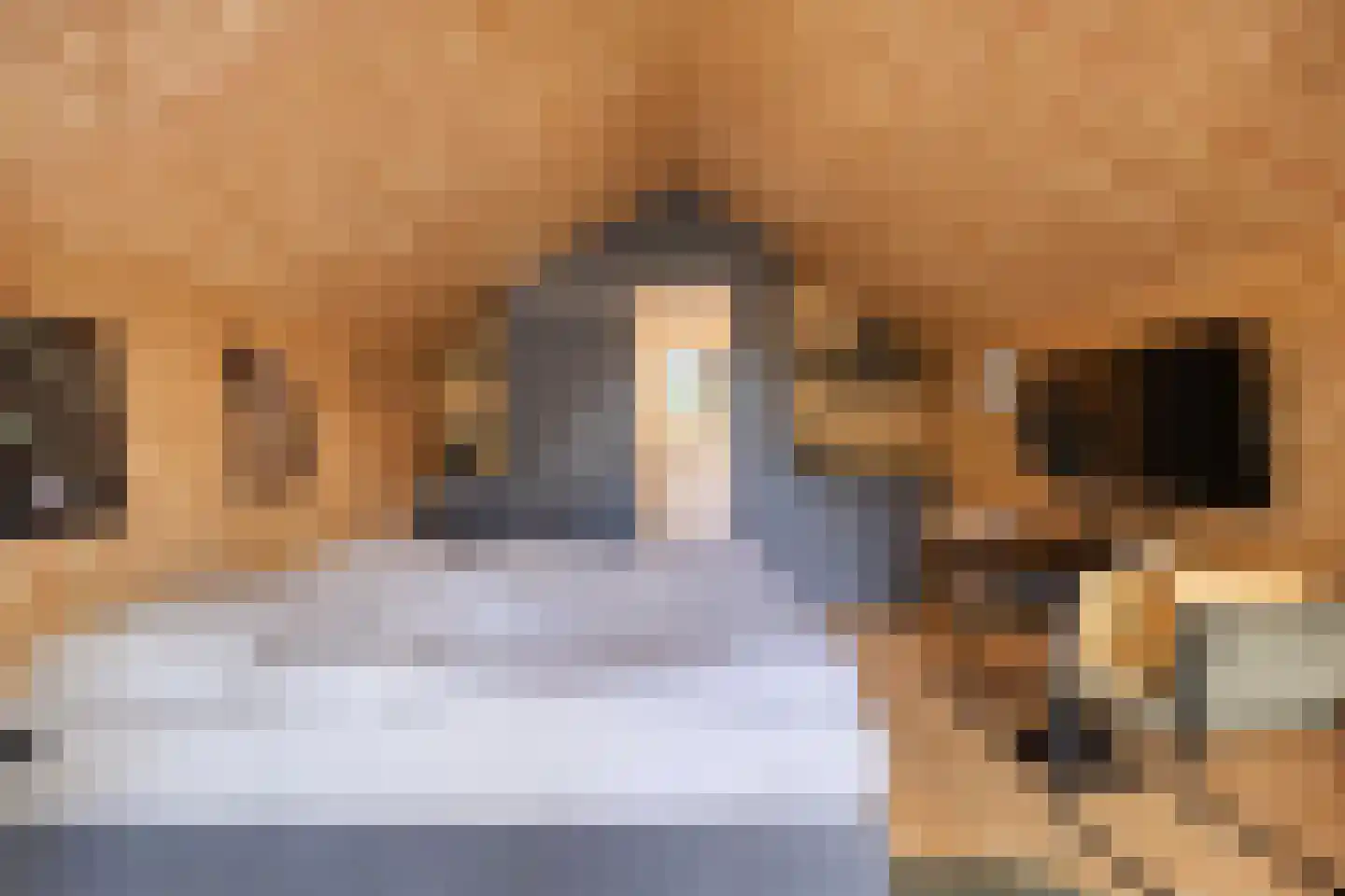 Oude Benderseweg 11 406 Ruinen thumbnail 13