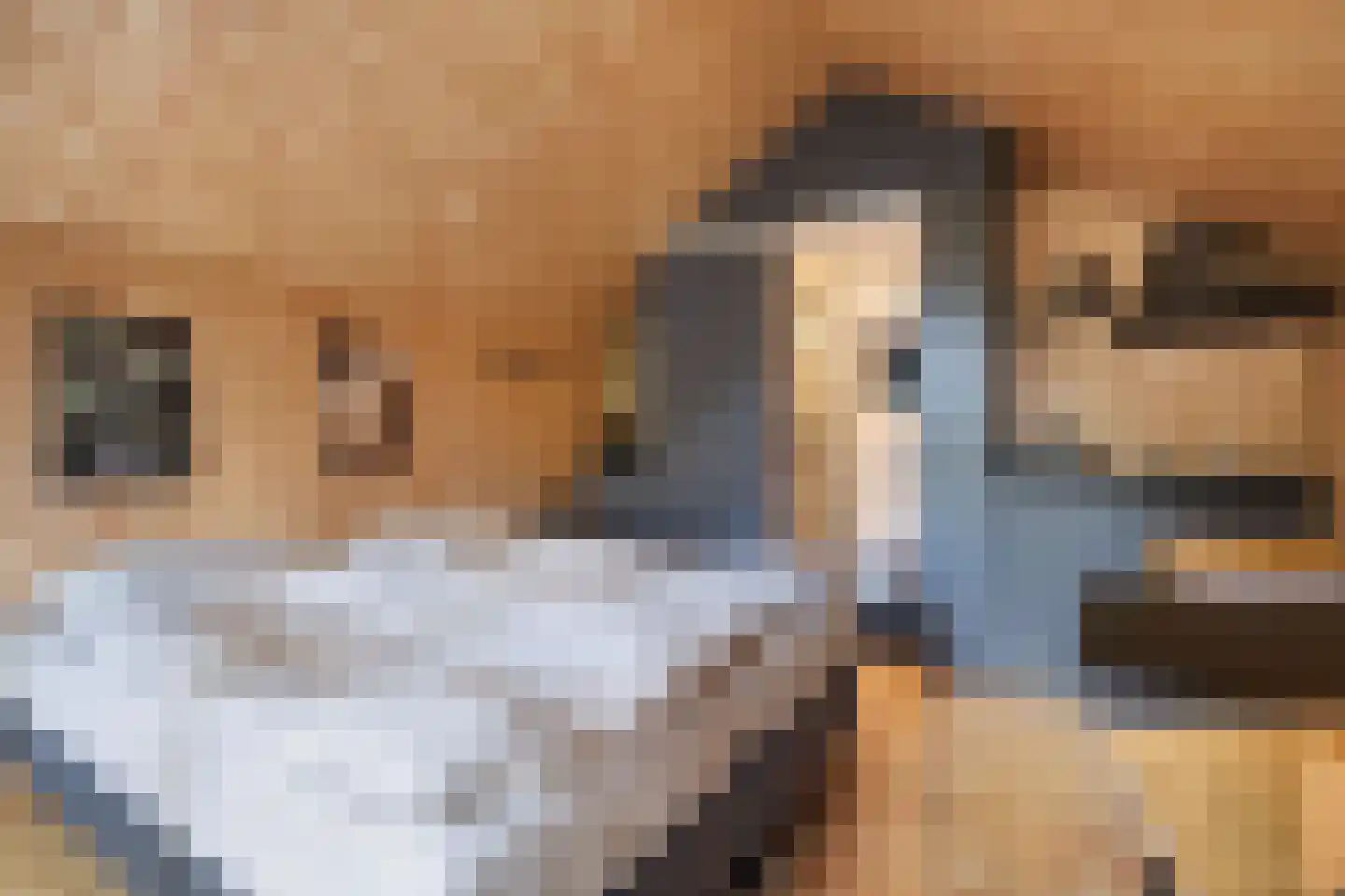 Oude Benderseweg 11 406 Ruinen thumbnail 14