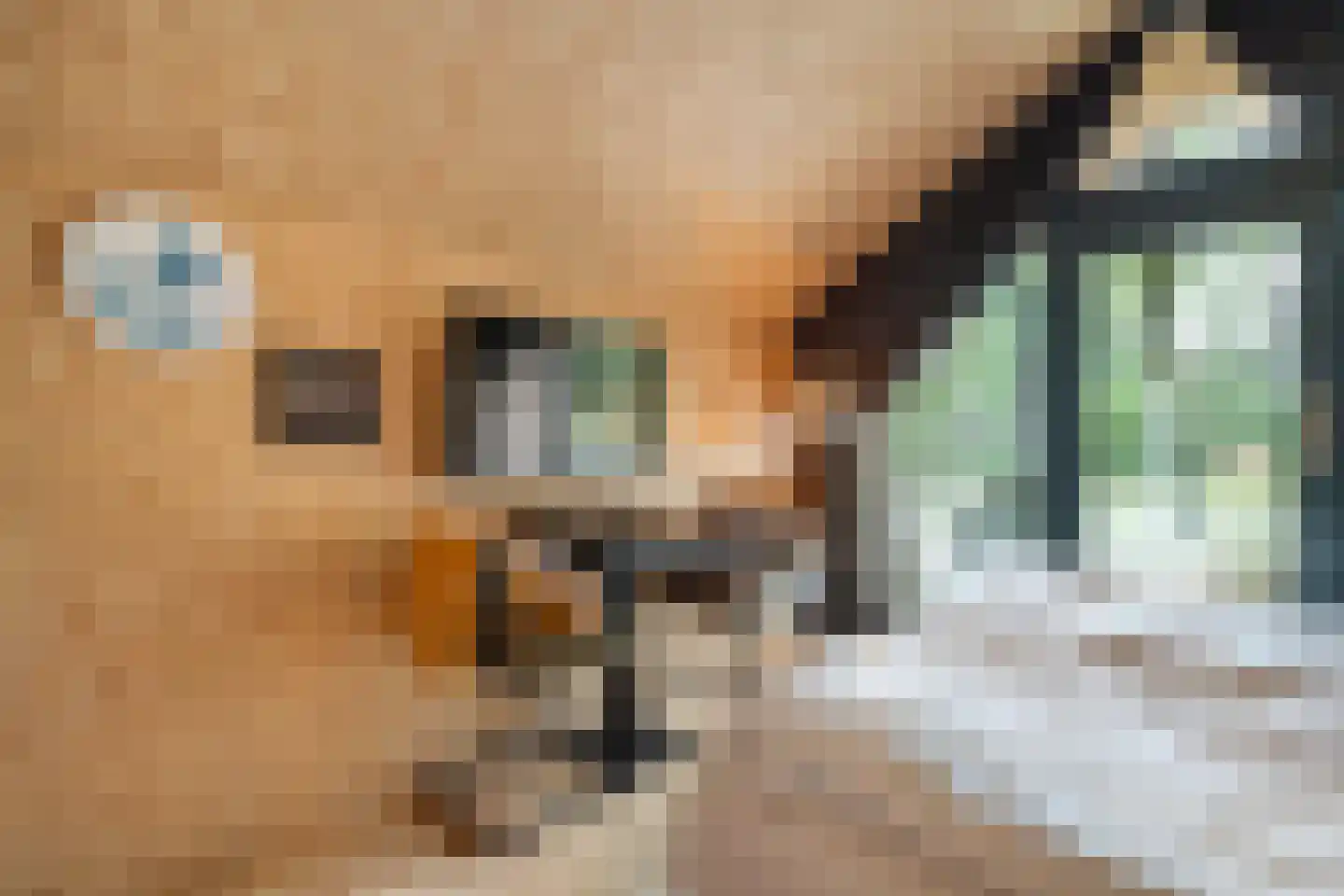 Oude Benderseweg 11 406 Ruinen thumbnail 17