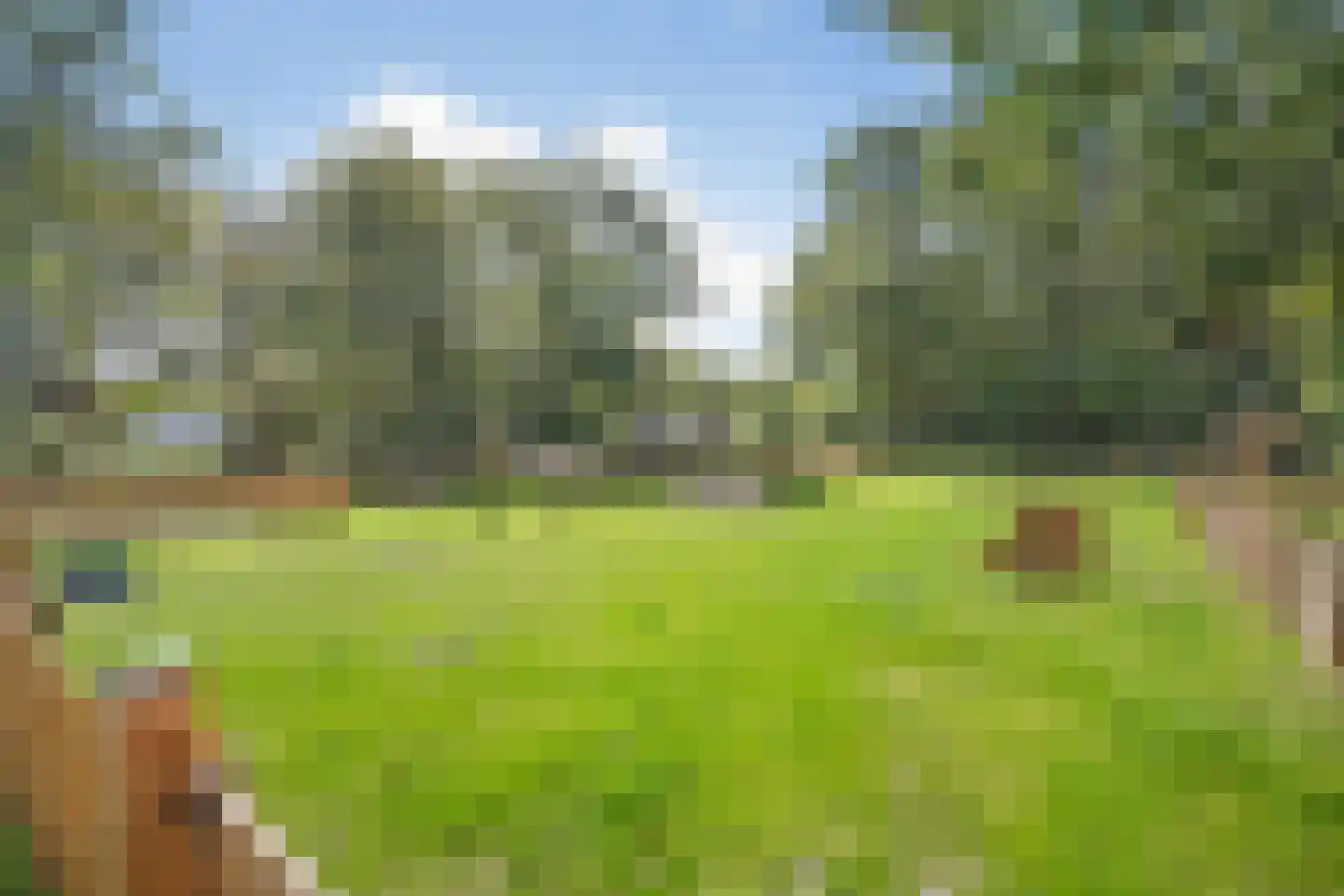 Oude Benderseweg 11 406 Ruinen thumbnail 21