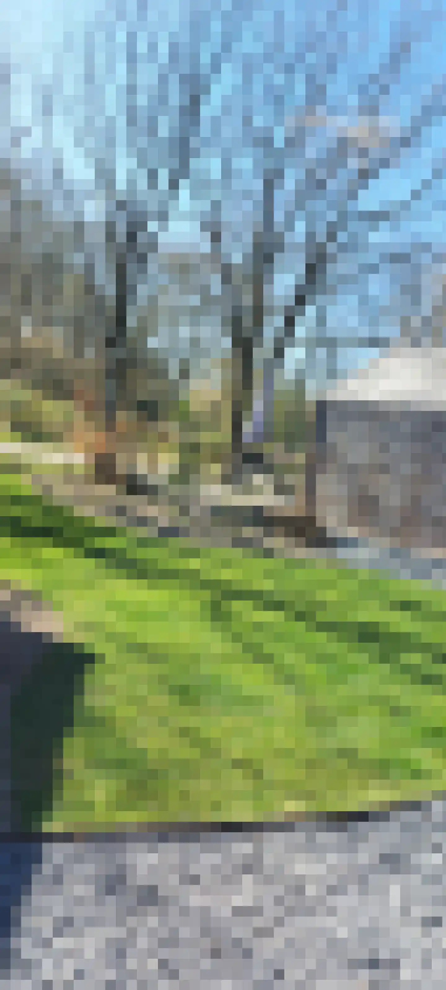 Oude Benderseweg 11 406 Ruinen thumbnail 22