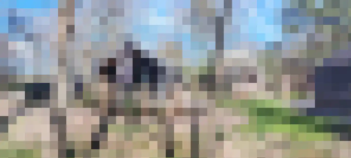 Oude Benderseweg 11 406 Ruinen thumbnail 4