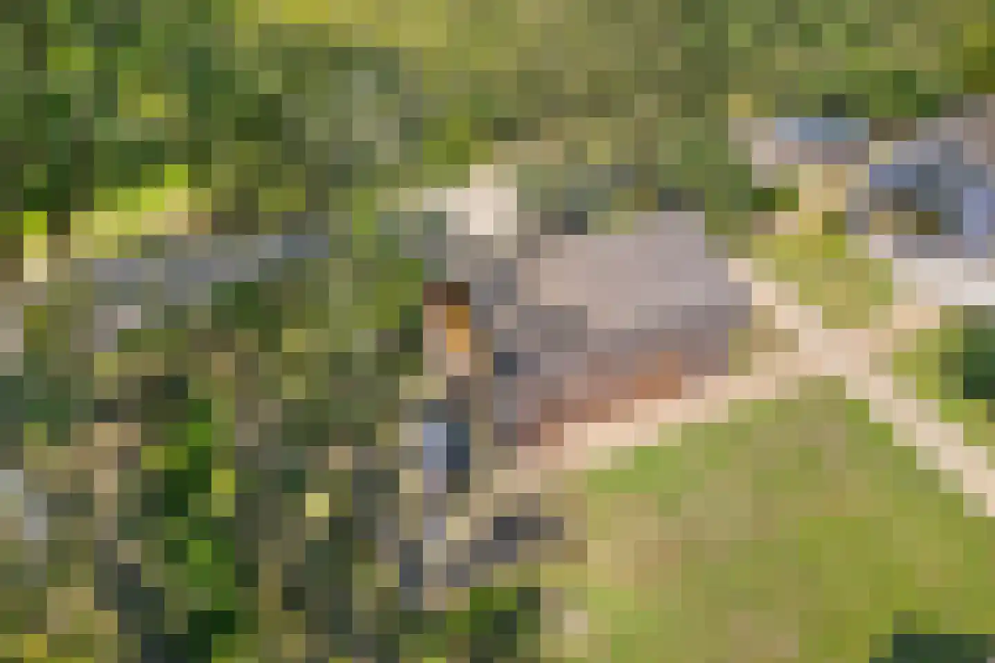 Oude Benderseweg 11 406 Ruinen thumbnail 6