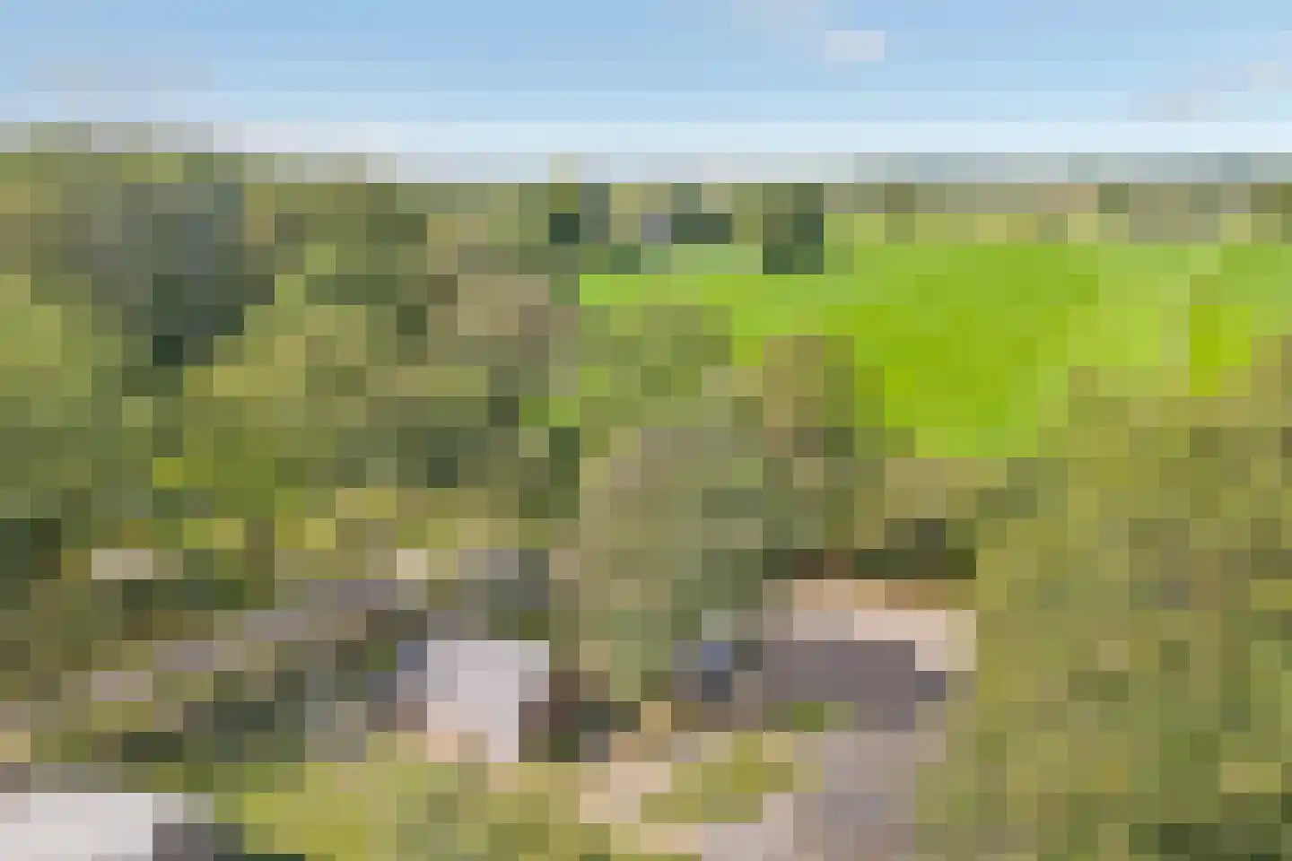 Oude Benderseweg 11 406 Ruinen thumbnail 7