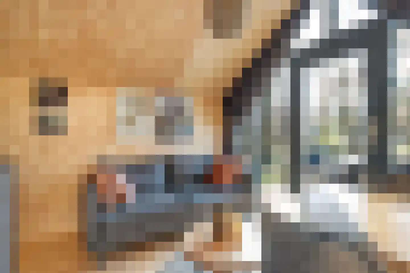 Oude Benderseweg 11 416 Ruinen thumbnail 11