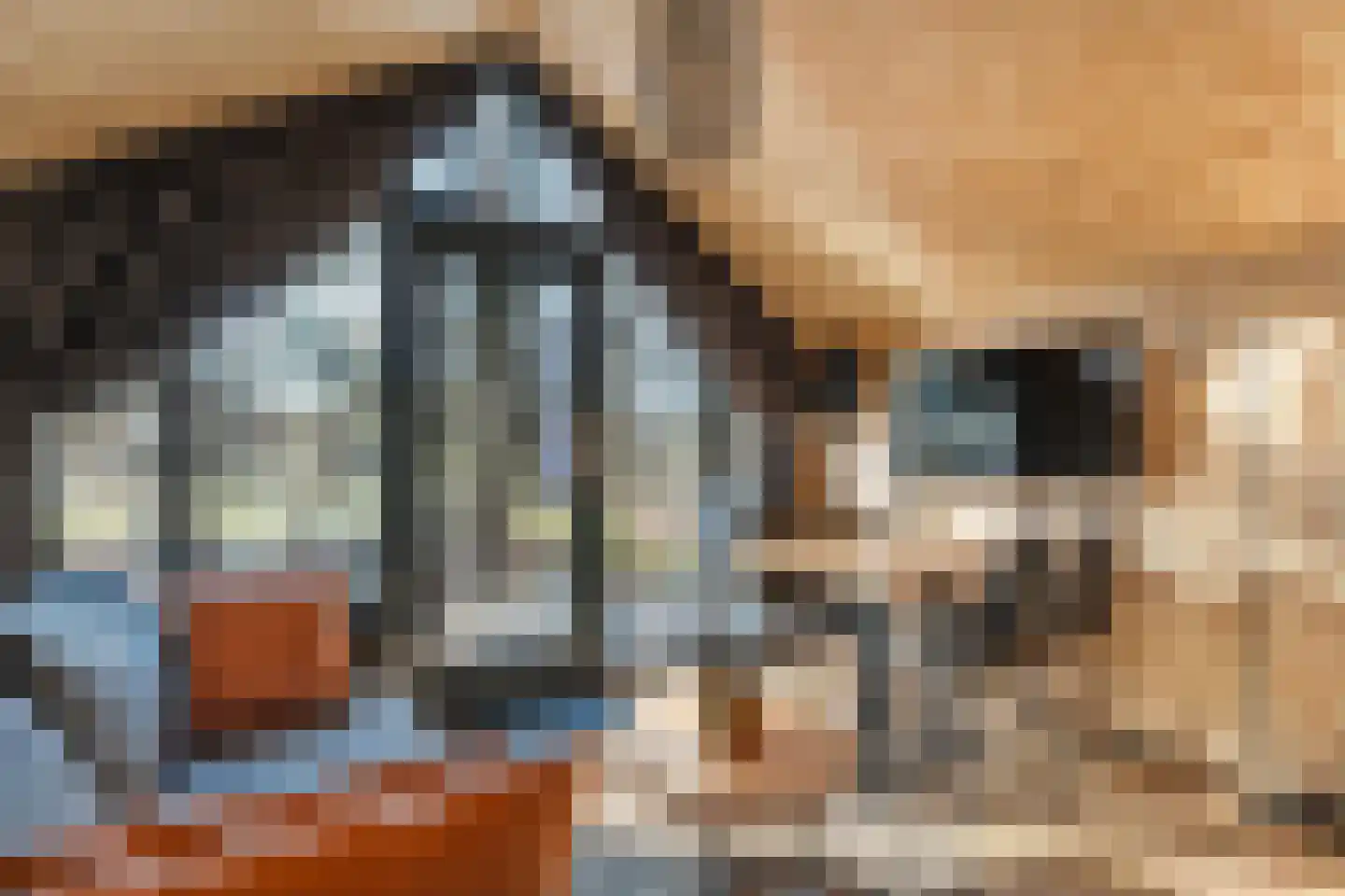 Oude Benderseweg 11 416 Ruinen thumbnail 12