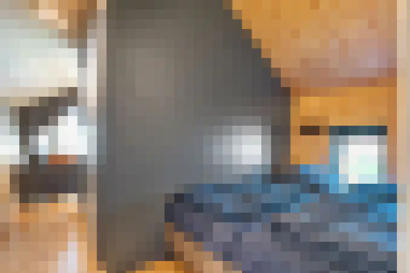 Oude Benderseweg 11 416 Ruinen thumbnail 14