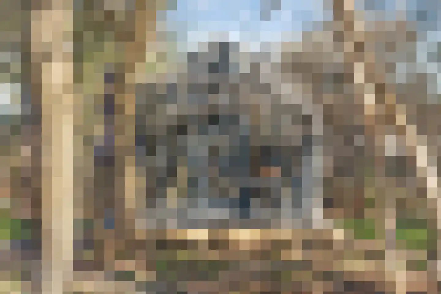 Oude Benderseweg 11 416 Ruinen thumbnail 19