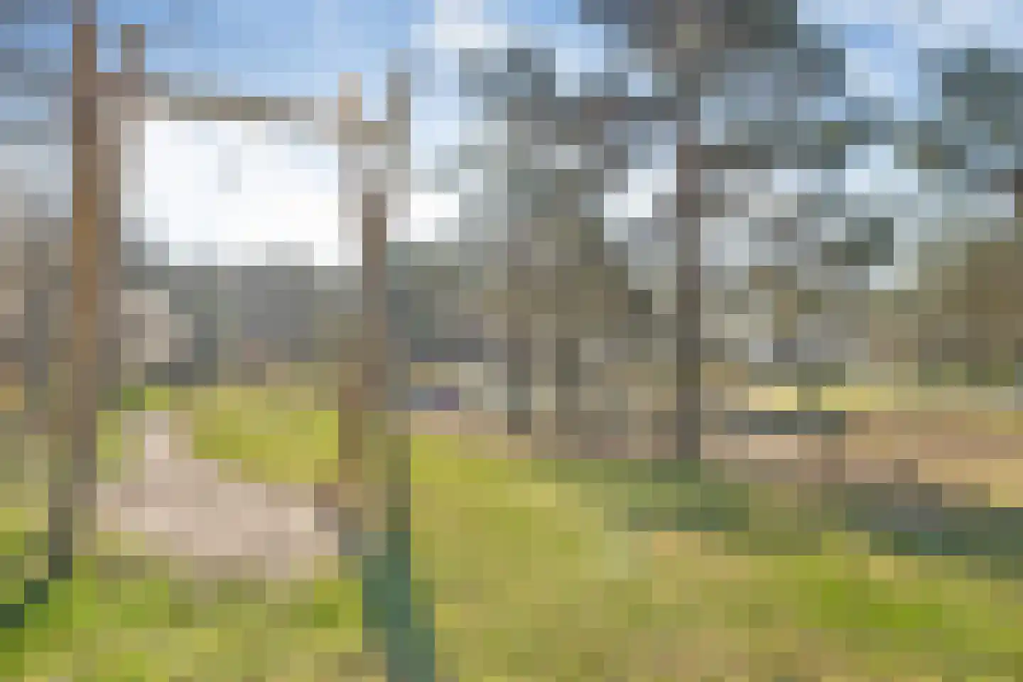 Oude Benderseweg 11 416 Ruinen thumbnail 21