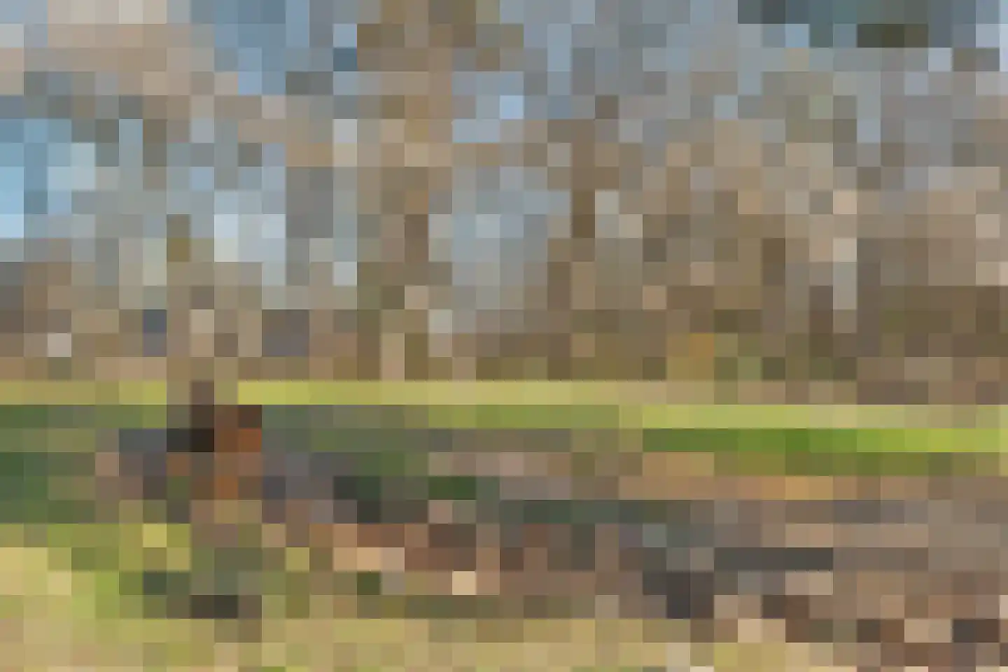Oude Benderseweg 11 416 Ruinen thumbnail 22