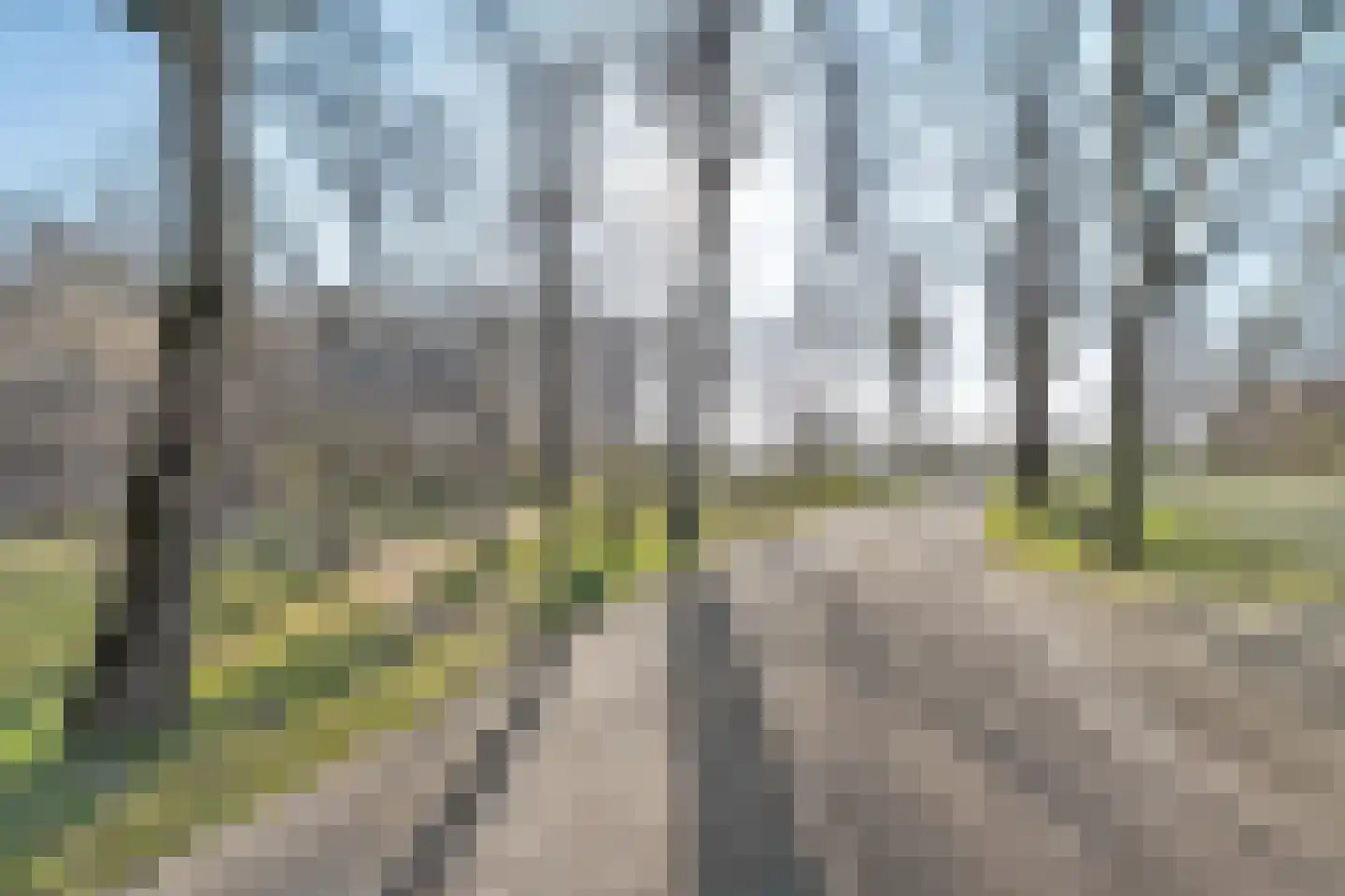 Oude Benderseweg 11 416 Ruinen thumbnail 26