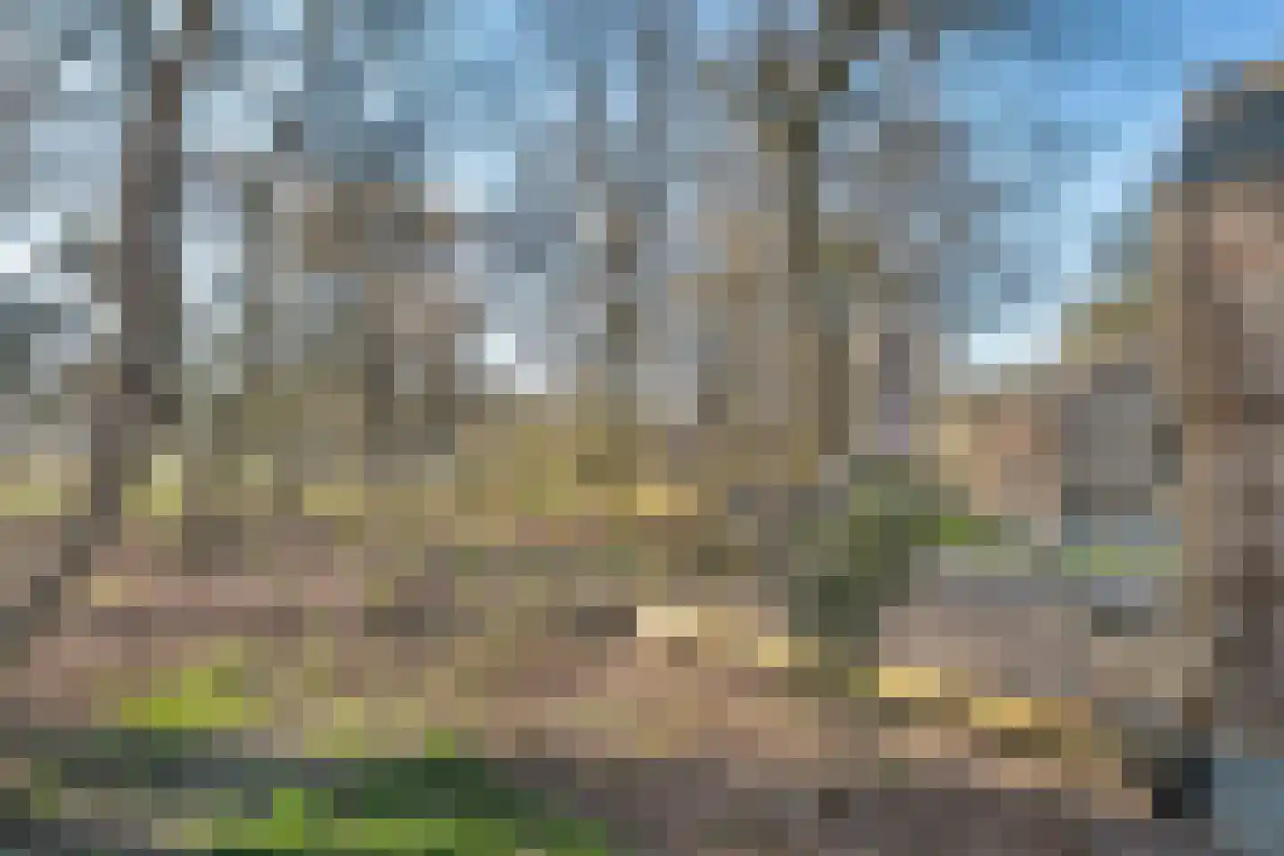 Oude Benderseweg 11 416 Ruinen thumbnail 6
