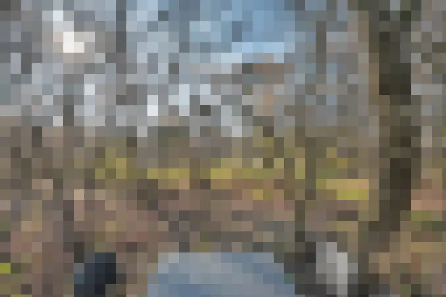 Oude Benderseweg 11 416 Ruinen thumbnail 7