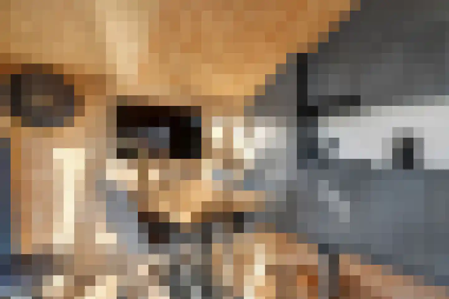Oude Benderseweg 11 416 Ruinen thumbnail 8