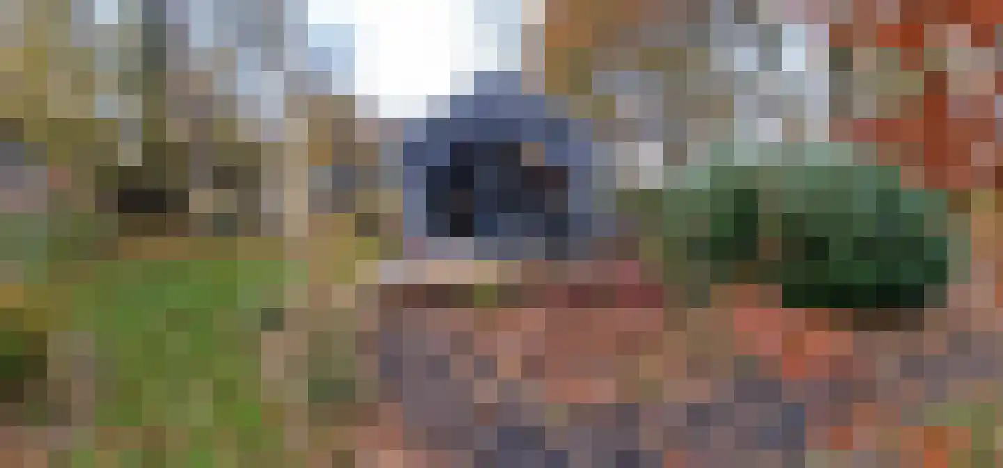 Oude Benderseweg 11 418 in Ruinen