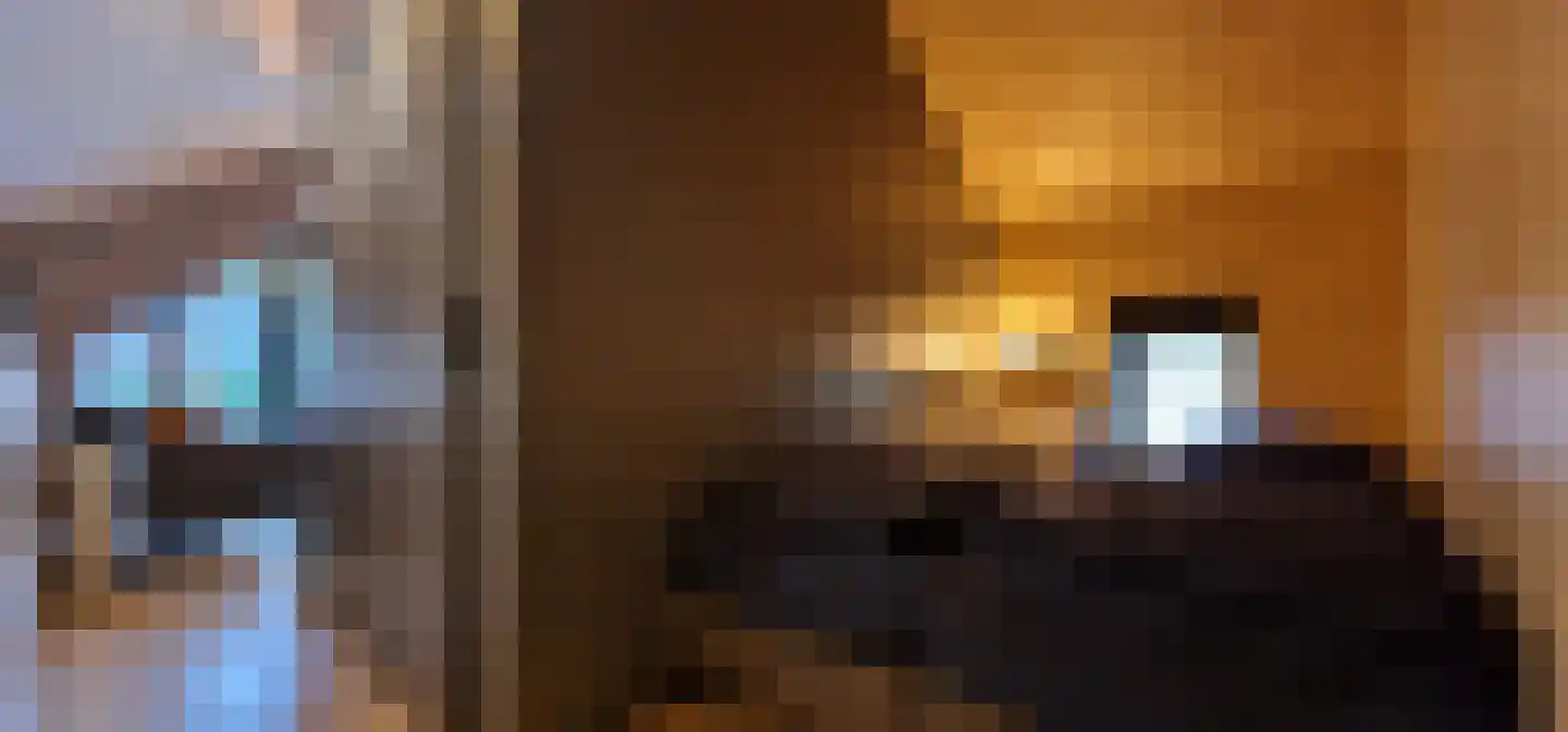 Oude Benderseweg 11 418 Ruinen thumbnail 11
